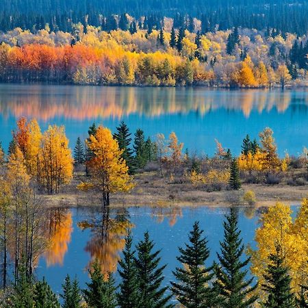 Sunny Tranquil Woods Turret In Falcon Crest Lodge Канмор Экстерьер фото